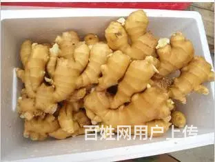 供应生姜市场行情 生姜批发价格 山东生姜产地 - 图片 2