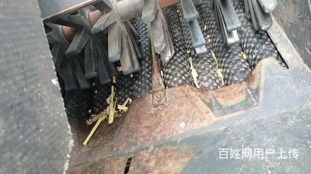 【搞定了！】谷王玉米收割机 - 图片 2
