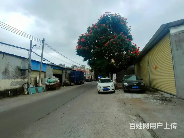 （51旺铺推荐）高坡村240平旺铺招租 - 图片 5