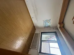 实验学区