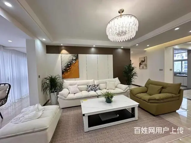碧阳大道朝南四室两厅两卫全新装修带入户花园独立洗衣房 - 图片 3