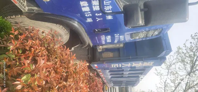 湖北大运 风度 自卸车 国5 - 图片 1