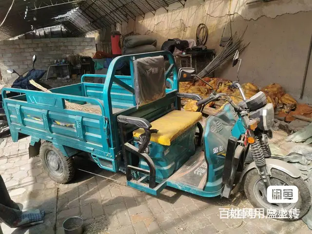 【搞定了！】金彭电动三轮车 - 图片