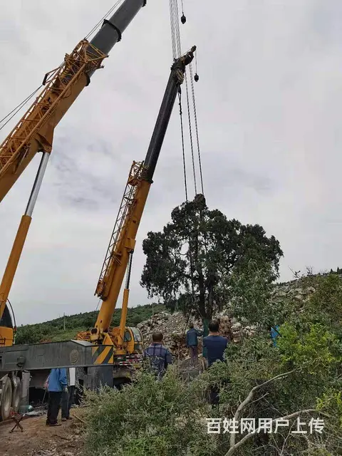 华东地区吊车出租图片字样吊车出租图片字样吊车租赁, - 图片 2