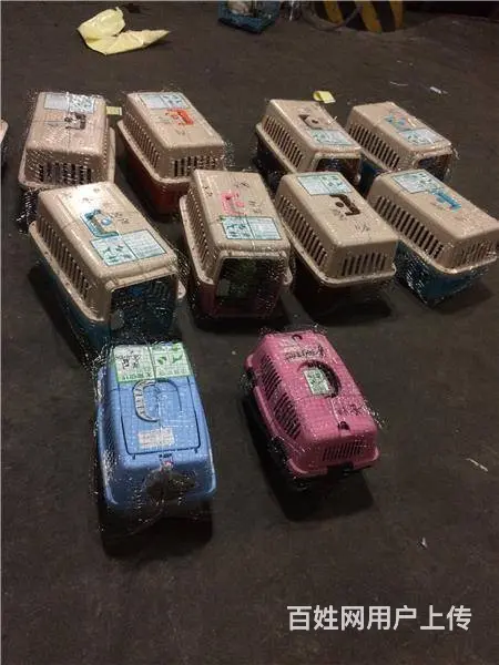 南京到成都宠物托运汽车（ - 图片 4