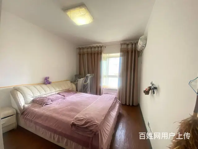 南昌路 洛浦公园  明珠花园  精装三居  电梯双气 - 图片 5