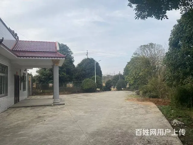 （房东直租）长沙县黄花镇整栋房屋院子优价出租 - 图片 2