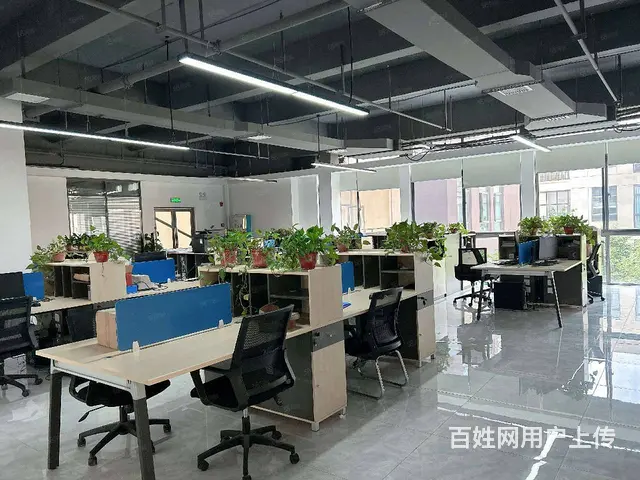 独栋精装修办公楼 研发楼 - 图片 3
