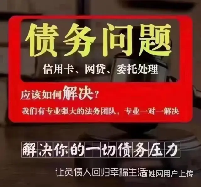 武汉*花呗*重新制定个性化还款方案 - 图片 1