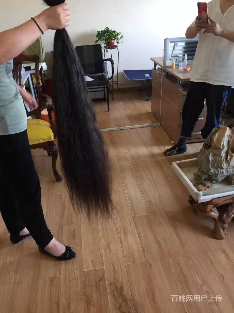 郑州专业长头发回收价格,价格公道,长短都剪