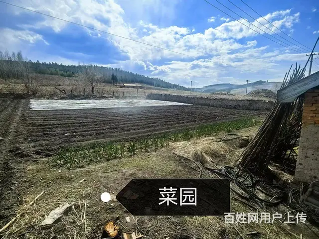 猪舍/养猪场/养殖场/出售 - 图片 6