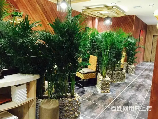 【搞定了！】道里区康安路临街餐饮店出兑转让 - 图片 2