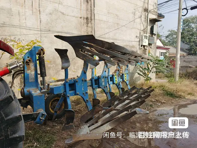 450 - 图片 6