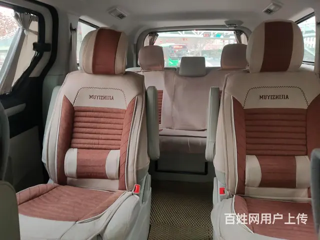 大通G10 2018款 G10 PLUS 1.9 - 图片 3