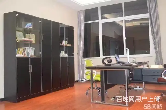 东西湖武汉客厅旁精装厂房直租 - 图片 3