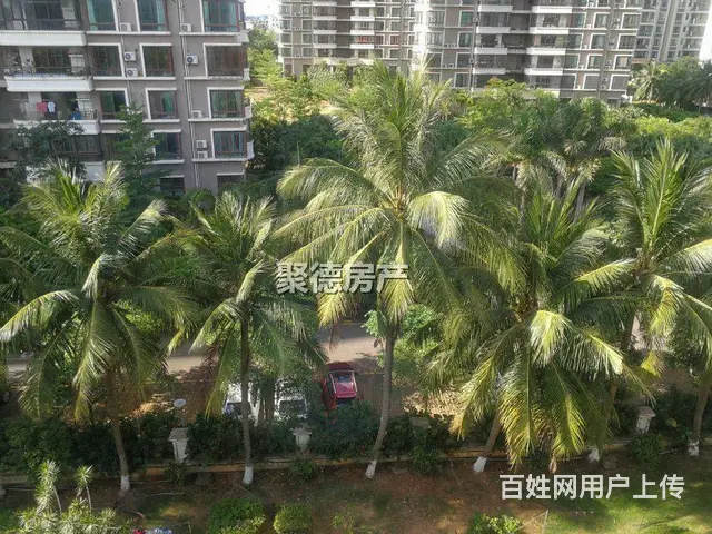 和平大道 白沙门温泉独家村 普通住宅1厅 精装修 - 图片 9