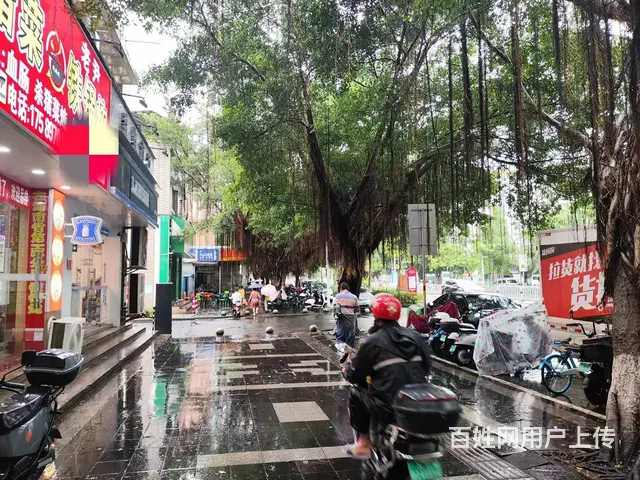 （51旺铺推荐）琼山区椰博路240平餐饮店转让 - 图片 5