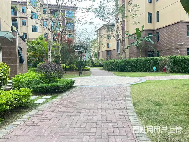 凤凰兰亭 一厅两户 小高层 87平3房205万 看房有钥匙 - 图片 12