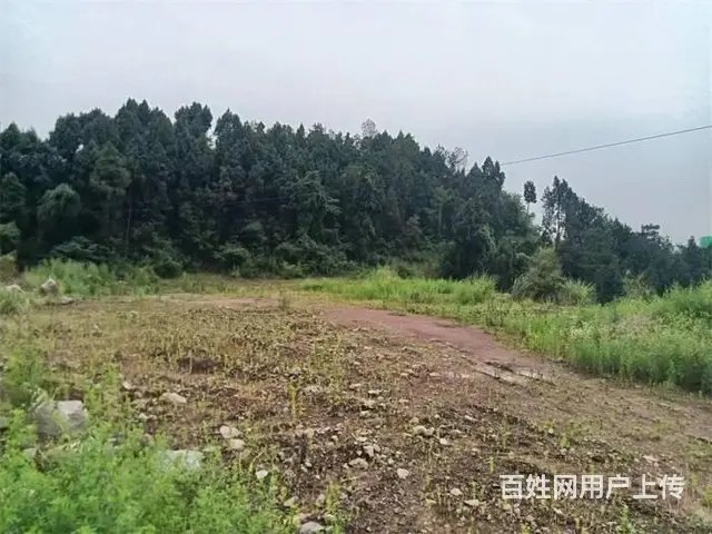 【同城搜铺网】西外十里水街对面1200平场地出租 - 图片 5