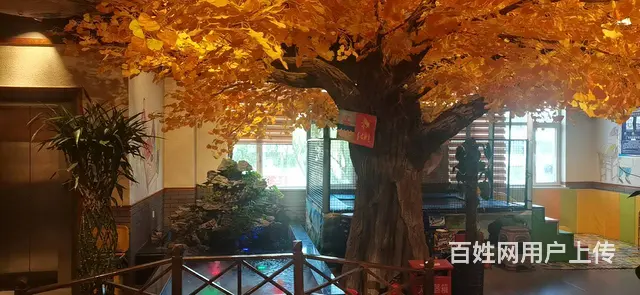 七P 8481 城中区南山路和南大街交叉口,西宁城 - 图片 11