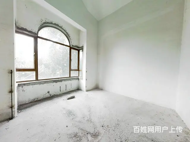 碧桂园假日半岛棕榈岛 8室4厅 南 - 图片 10