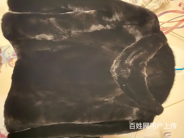 貂皮男装带帽 - 图片 2