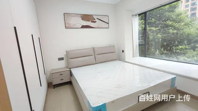全新精装三房带茶吧 - 图片 5