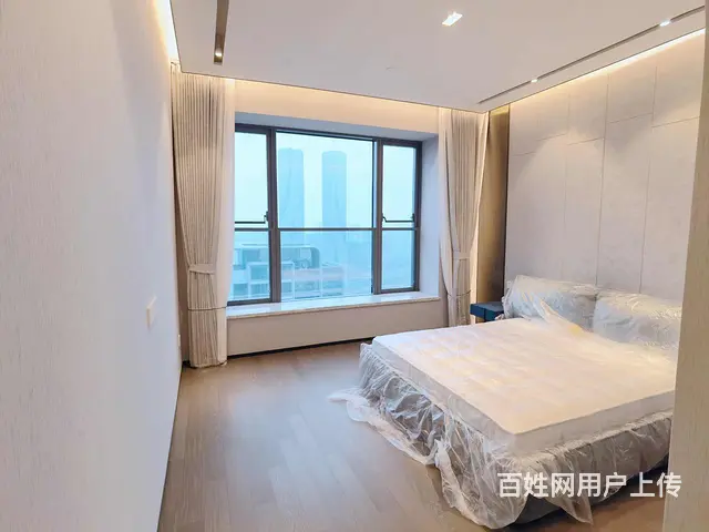 绿城留香园精装3房万科大都会东方御府滨江绿城江河鸣翠带车位 - 图片 2