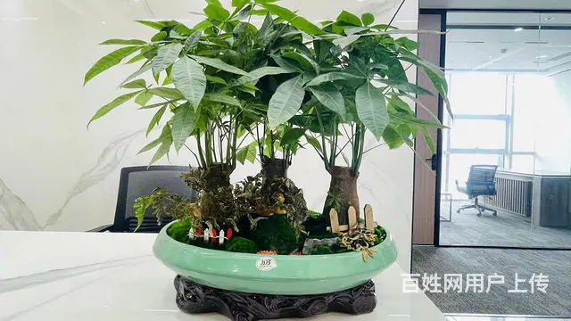 机器人中心 全新装修 家具齐全 跟无忧传媒做邻居 地铁口 - 图片 7