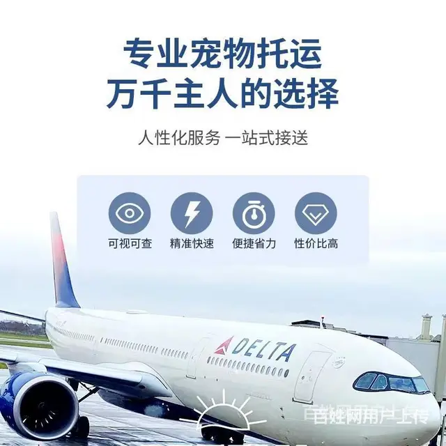 开封开封托运宠物 （猫狗活体运输）快递至全国各地 - 图片 2