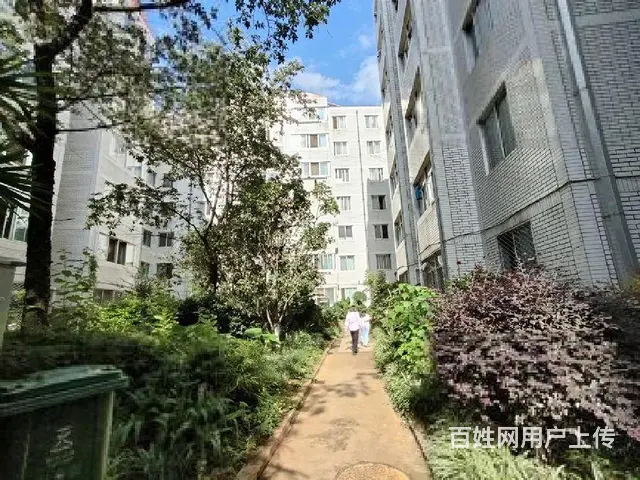 捡漏！云铝小区 刚需三室 中装修 南北通透 满五年 - 图片 12