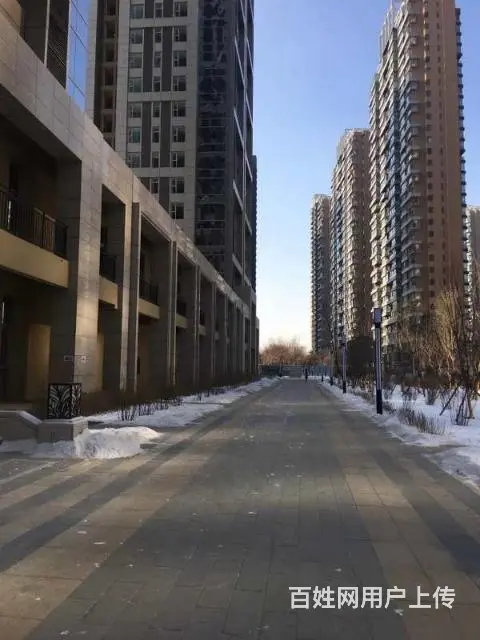 奥体中心地铁口保利达大象公寓一室一厅出租 - 图片 3