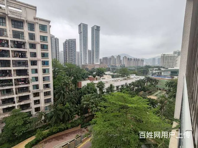 华发新城 精装小高层 电梯 4房 看园林 - 图片 12