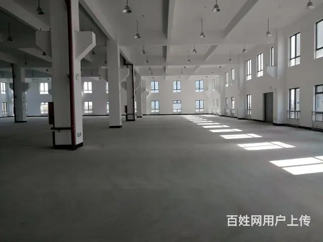 金阳路边出租一楼厂房600平700平800平，原房东丙类消防 - 图片 1