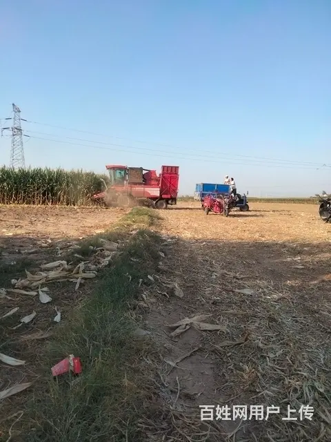 2022年的车 - 图片 8