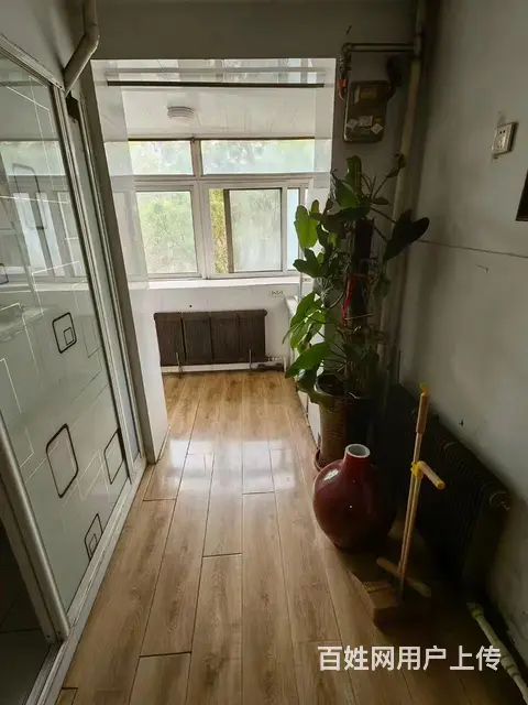 出租花鸟鱼市市医院汉口街北门口4楼50平一室精装家具家电全 - 图片 5
