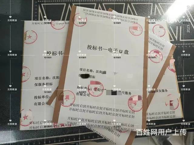 沈阳制作标书 （标书代写、十年经验专业团队） - 图片 1