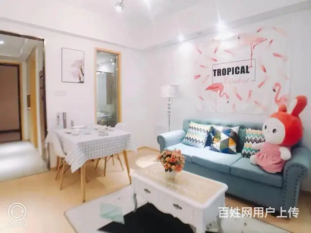全嘉兴有房出租挑到满意为止月付租金家电齐全 - 图片 3