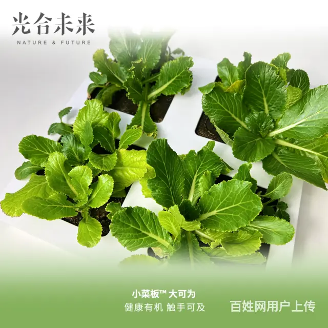 阳台种菜神器小菜板 - 图片 1