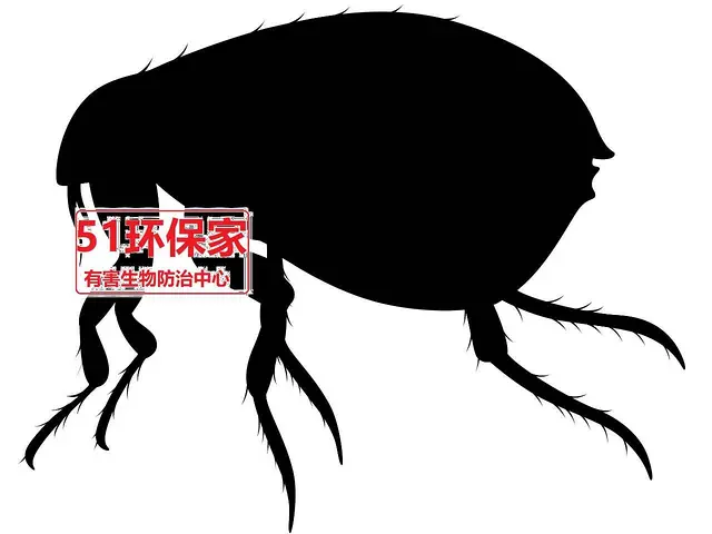 【安全彻底】武汉三镇灭鼠除虫灭白蚁灭蚊蝇 - 图片 3