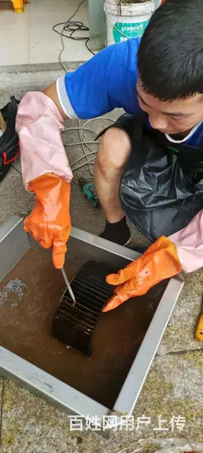 专业清洗油烟机和洗衣机 - 图片 3