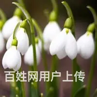找个靠谱的老公度过余生 - 图片 2