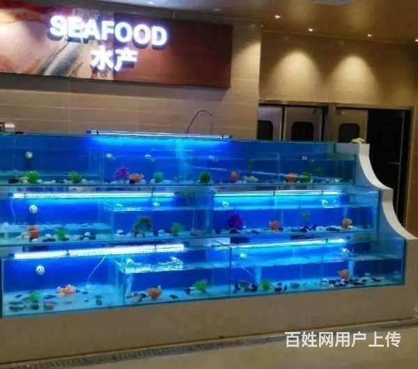 扬州【庆亚】海鲜大闸蟹玻璃鱼缸测量定做安装报价 - 图片 1