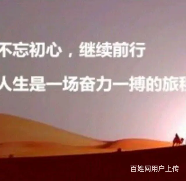 寻征(心灵密)友，非征婚，非诚勿扰！ - 图片 6