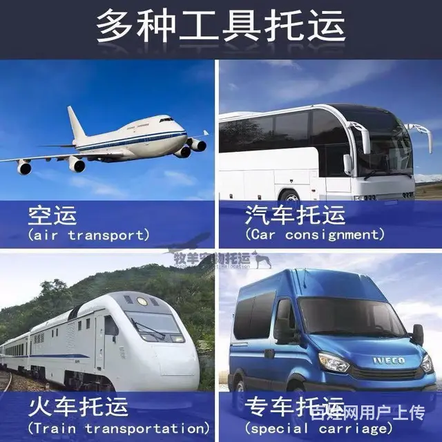 江阴到成都宠物托运汽车 ）宠物狗猫 格子兔子荷兰猪 - 图片 3
