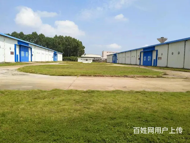 秀英区永桂路期货仓库400-18000平招租9米层高 - 图片 1