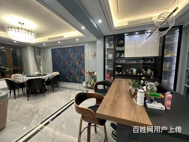 新上外滩  下叠 四层带花园 独立电梯 精装短住 带车位 - 图片 11