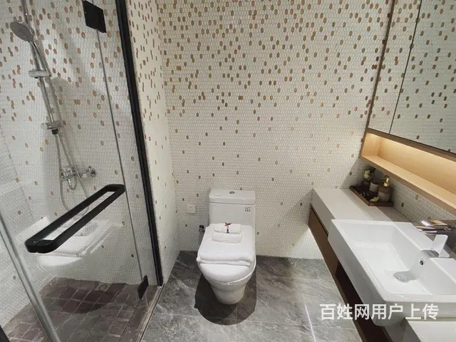 抢！北郊对面碧桂园挑高复式现房均价7000朝南楼下就是地铁 - 图片 6