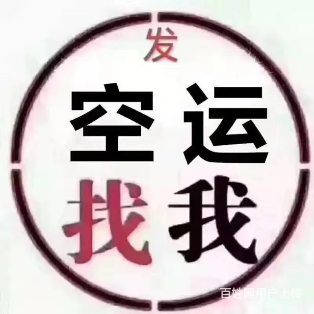 成都欣诚宠物托运公司 全国当日达 - 图片 10