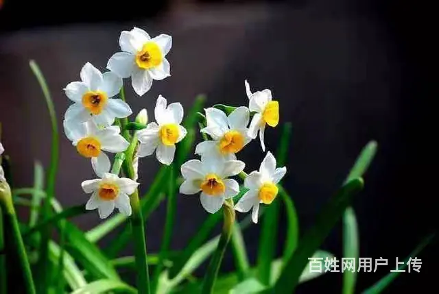 河南市政二公路二资质转让，郑州房建市政二资质转让 - 图片 2